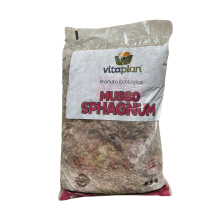 Musgo Sphagnum 100g Para Tutores, Orquídeas Etc