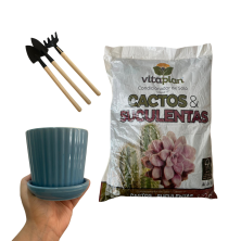 Pack para suculentas