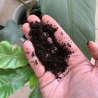 Sustrato Orgánico 3L Humus De Lombriz y Tierra Negra