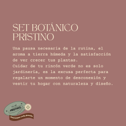 Set Botánico De Jardinería: Macetas Cerámica Y Herramientas | Pristino