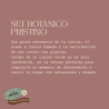 Set Botánico De Jardinería: Macetas Cerámica Y Herramientas | Pristino