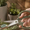 Set Botánico De Jardinería: Macetas Cerámica Y Herramientas | Pristino