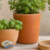Set Jardín del Mar | Macetas de Barro y Tutores